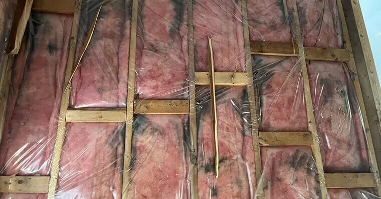 Moisture and Mold Issues