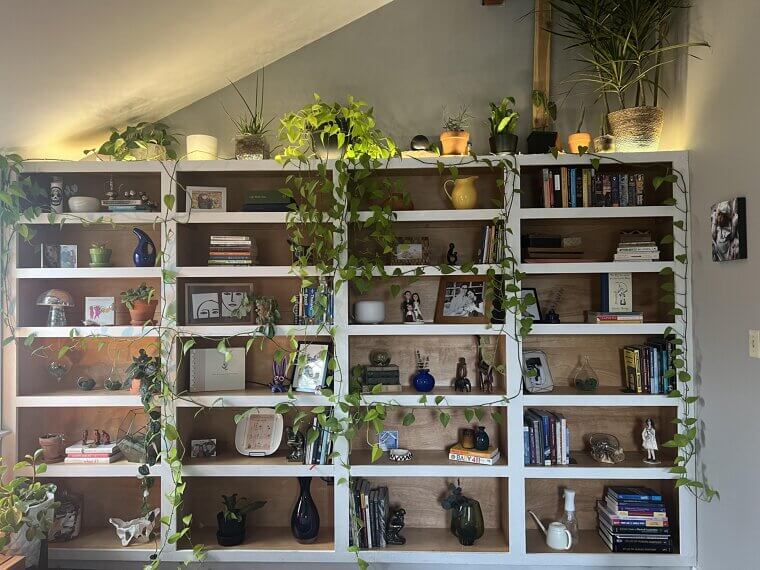 Fake Built-In Bookshelf