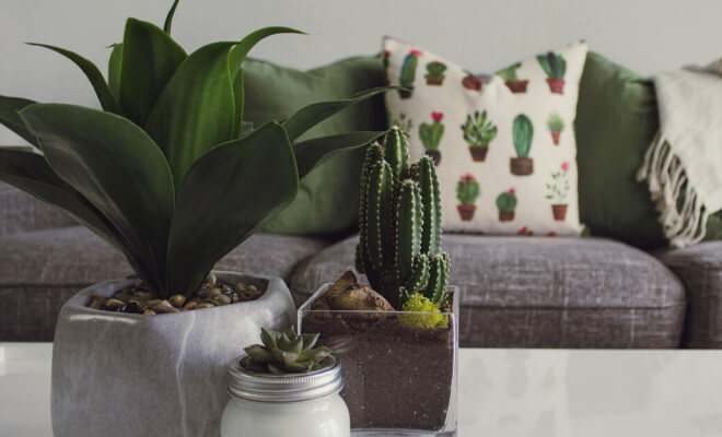 DIY Alternatives to Pricey Home Decor Trends