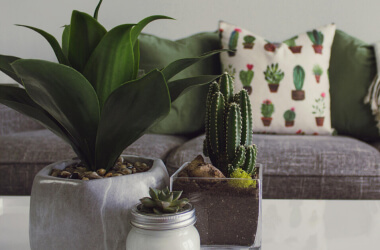 DIY Alternatives to Pricey Home Decor Trends