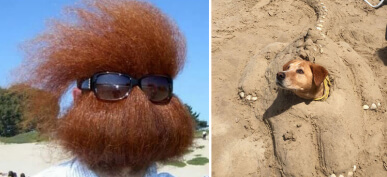 40+ Of The Most Hilarious And Ridiculous Beach Moments From Summer 2020