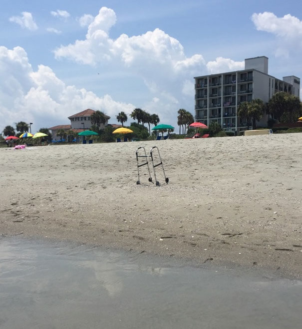 どこに行っちゃったの?