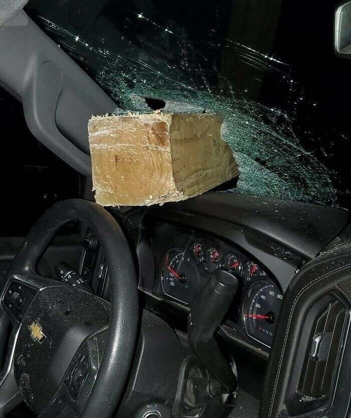 A Ride on The Wild Side