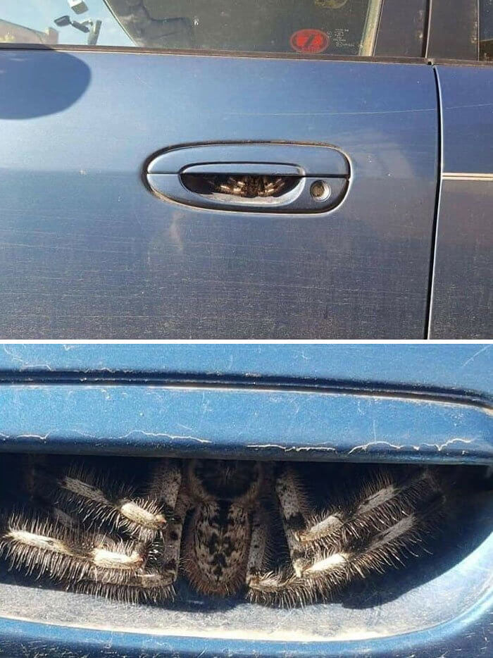 When It’s Definitely Time To Buy A New Car