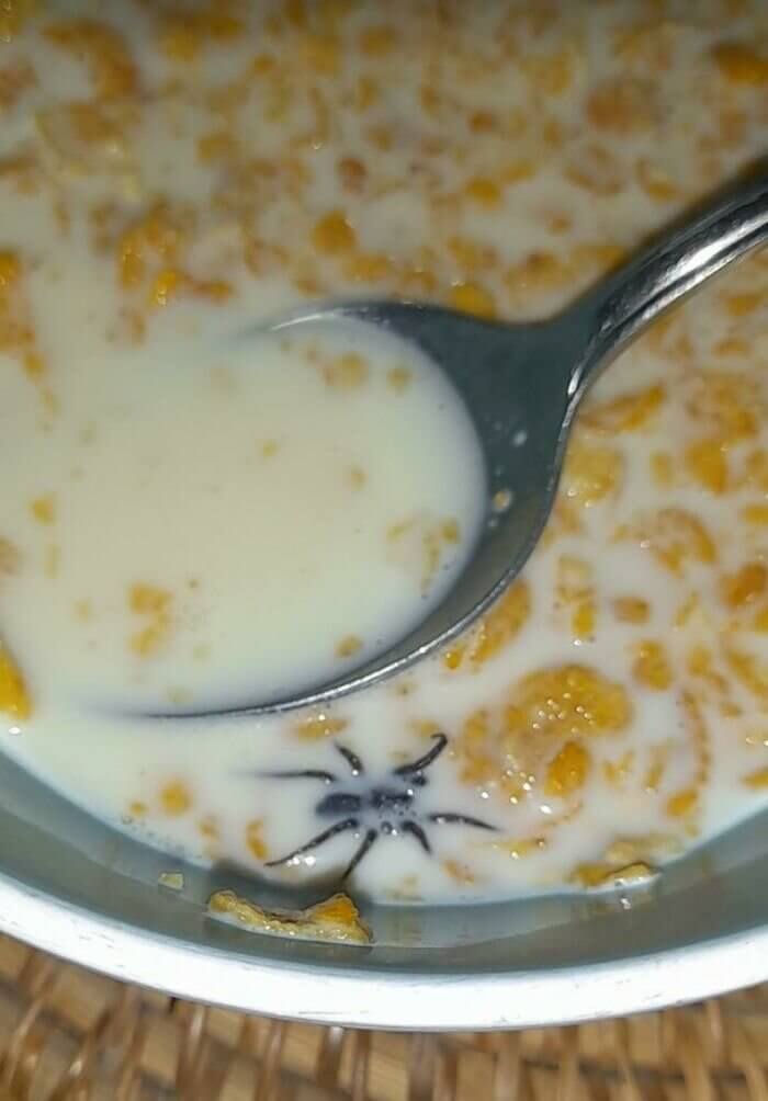 Proof That Toast Is The Safest Breakfast You Can Eat