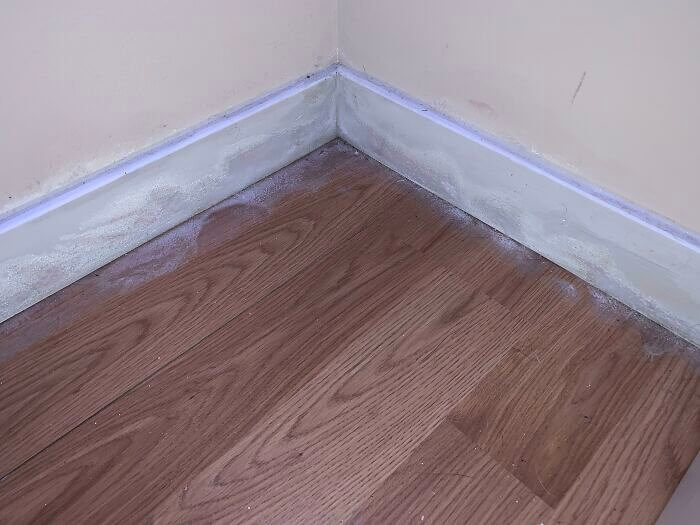 Yes, That's Frost... Indoors.