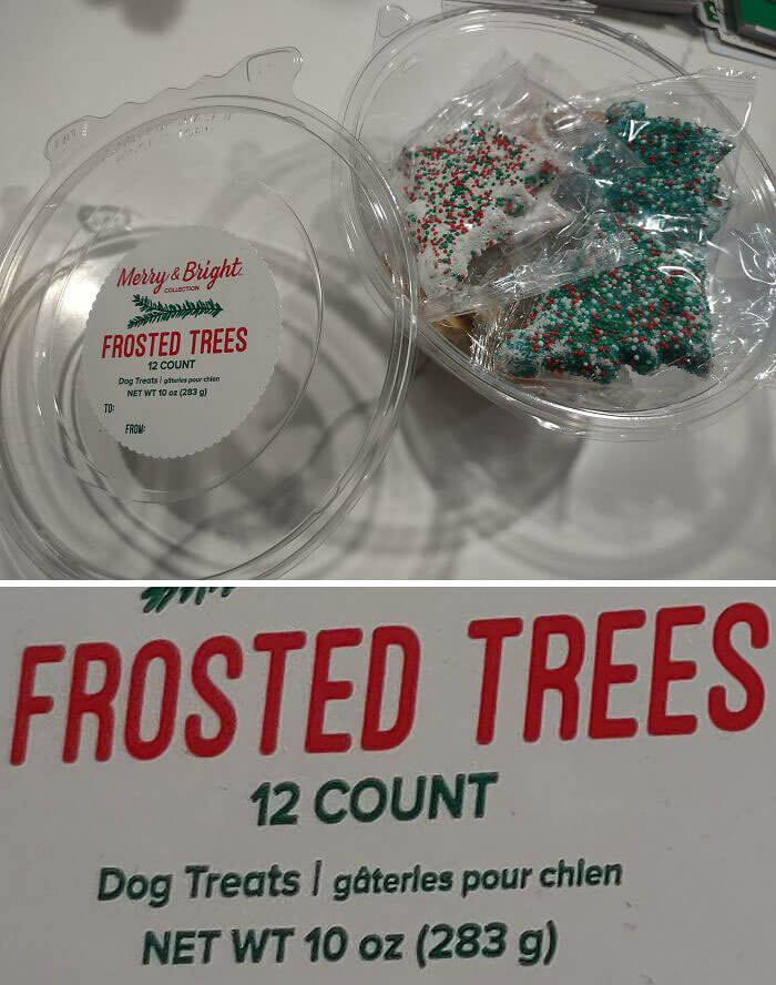 Maybe This Guy Should Have Pawsed For Thought?