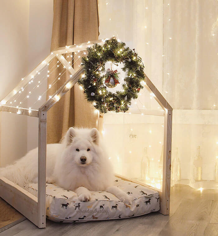 The Husband That Built the Dream Dog House