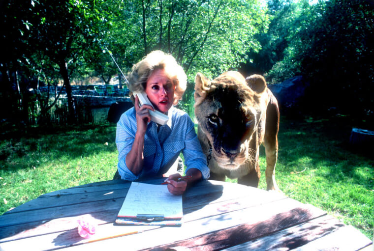 Tippi Hedren Casually Talking On The Phone Next To Lion
