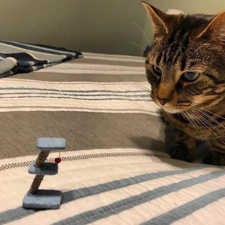 When You Order Something Online Without Looking At The Dimensions