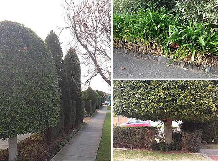 This Devoted Gardener Knows How To Have Fun