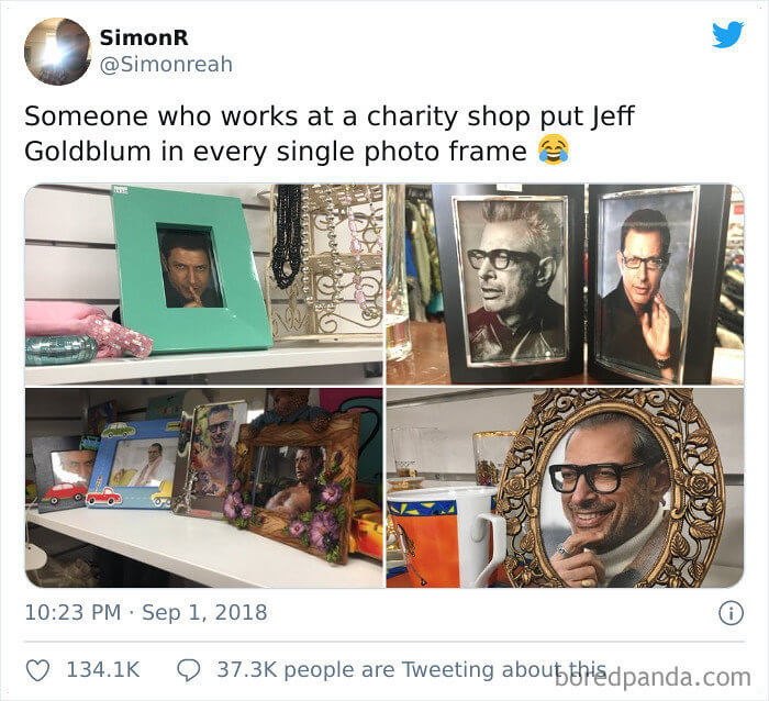 This Person Surely Is A Jeff Goldblum Fan