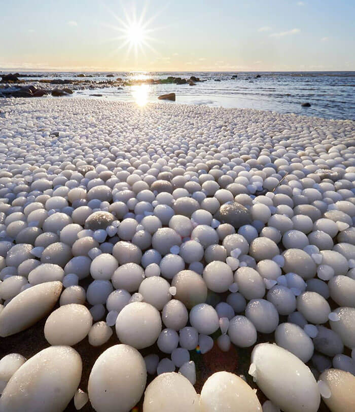 Anyone Up For Ice Egg Fight?