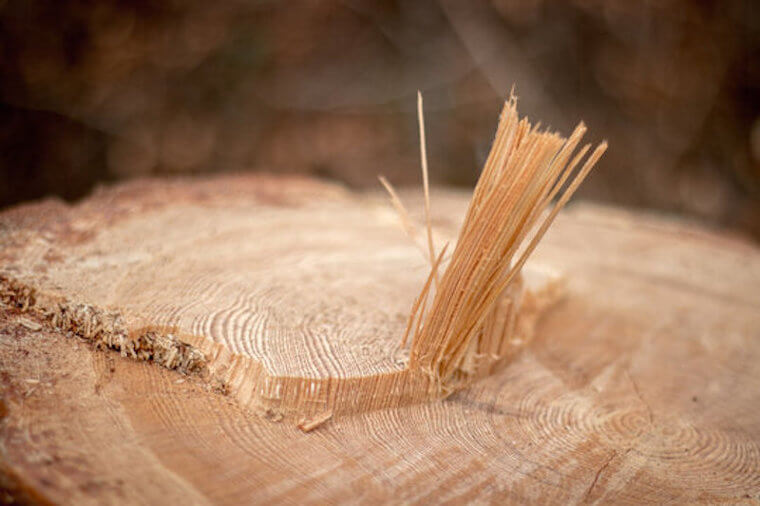 Using Toilet Paper That Was Full of Splinters