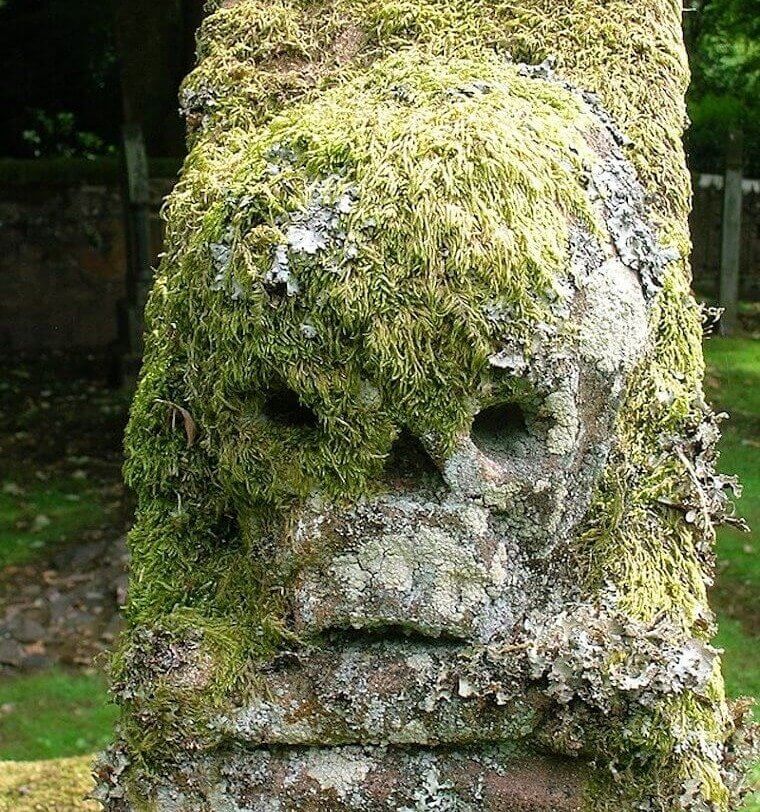 Believing in the Medicinal Properties of Skull Moss