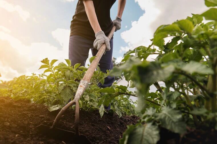 Contaminating Your Food Supply Every Time You Fertilize Your Crops