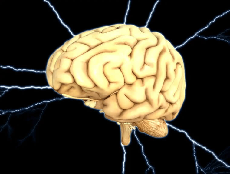 If You Find Yourself Starving, Your Brain May Start Eating Itself