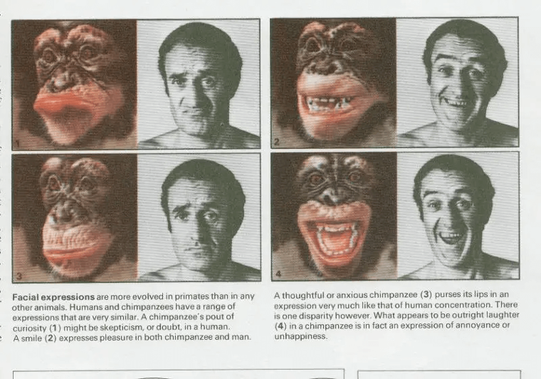 ​The Human Face Can Make Nearly 7,000 Different Expressions