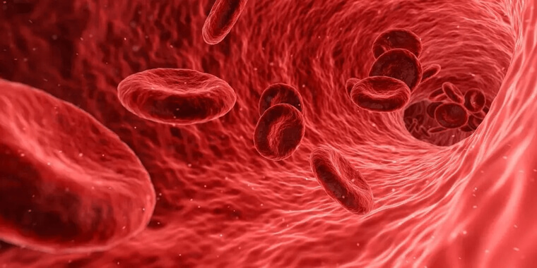 Some 200 Million Liters Of Blood Are Pumped By Our Hearts In A Lifetime