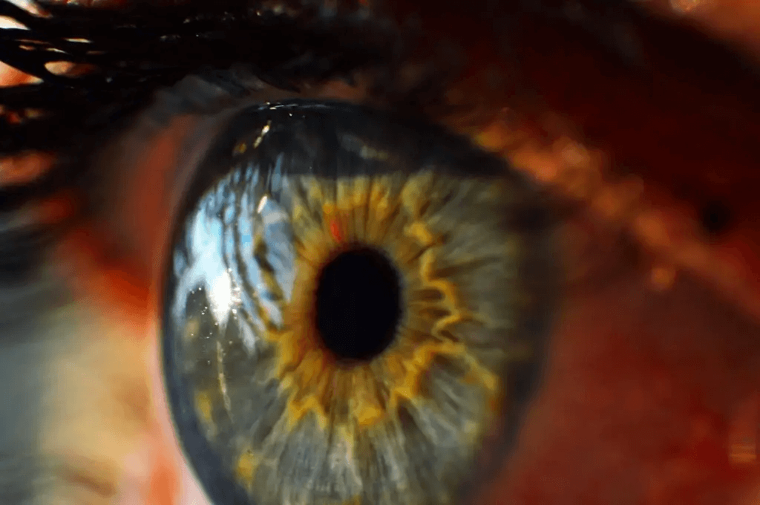 ​The Eye’s Cornea Doesn’t Have Its Own Blood Supply
