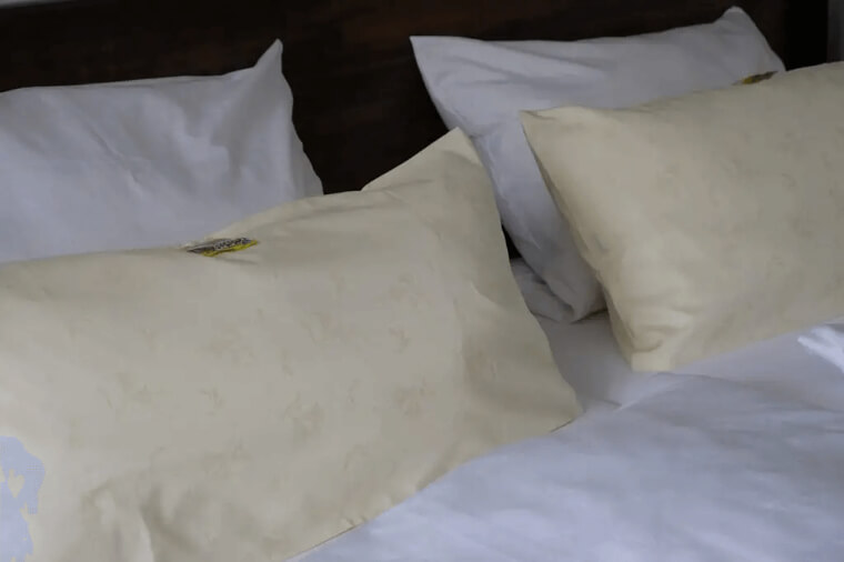 If One Laid Out A Brain Completely Flat, It Could Cover An Entire Pillowcase