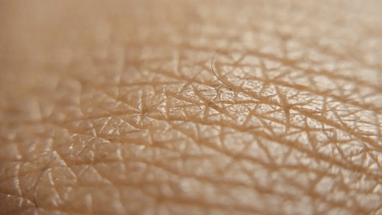 ​A Human Being Sheds About 600,000 Skin Particles Every Hour
