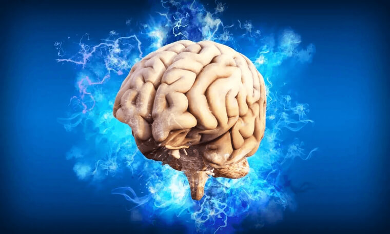 Your Brain Could Survive For About Five To Ten Minutes Without Oxygen