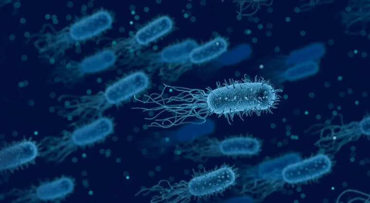 Humans Have Ten Times More Bacteria In Their Body Than Human Cells
