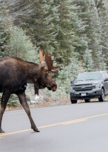 “Meanwhile, In Canada”: Photos That Perfectly Sum Up Canada