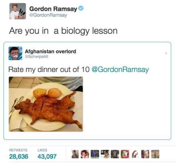 This Person Just Asked Gordon Ramsay To Roast Them