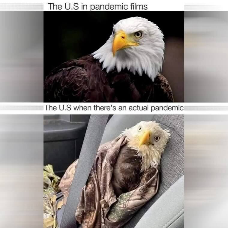 Movies Versus Reality