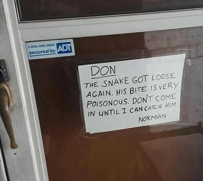 Don't Come In