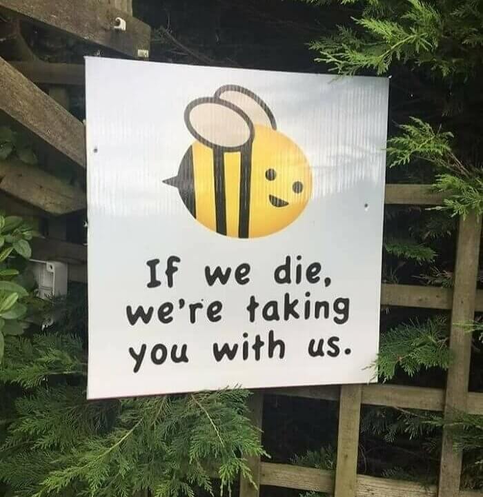 The Terrifying Truth About Bees