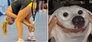 30+ Confusing And Hilarious Photos That You Won't Be Able To Stop Staring At