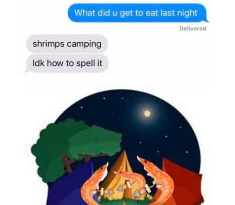 Wait What? Shrimps Camping?