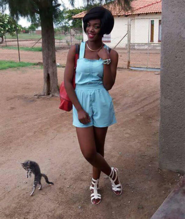 That Cat Is Definitely an Influencer