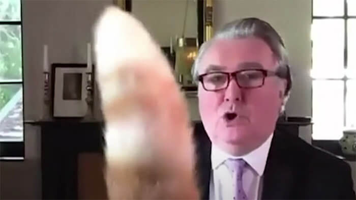 An International Interview? Yeah, the Cat's Interested