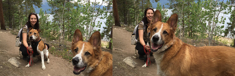 Having Older Siblings Be Like