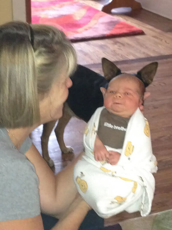 Baby Yoda, Is That You?