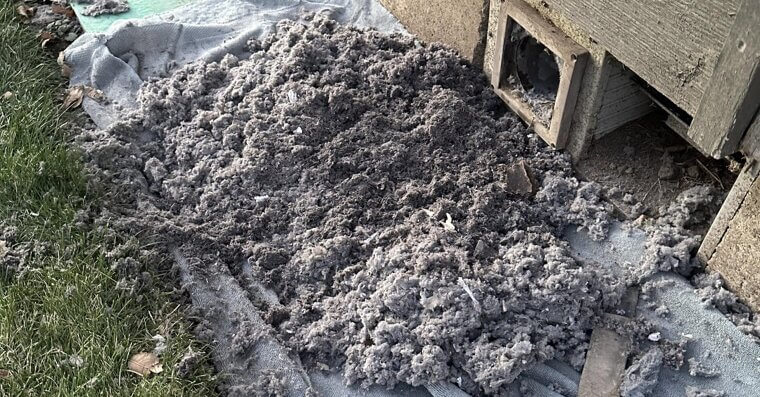 Dryer Lint Traps and Vents