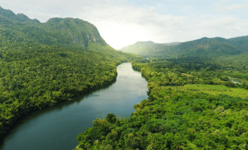 Unusual Things Found Deep in the Forest