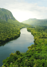 Unusual Things Found Deep in the Forest