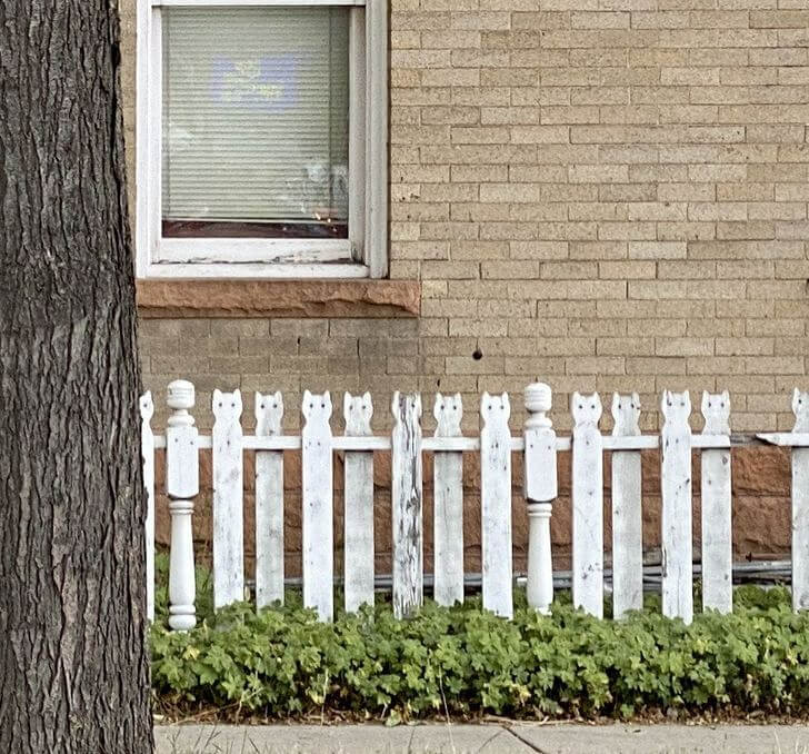 White Picket Fence With a Twist