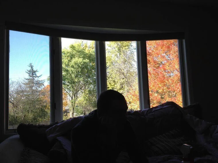 The Four Seasons All in One Window