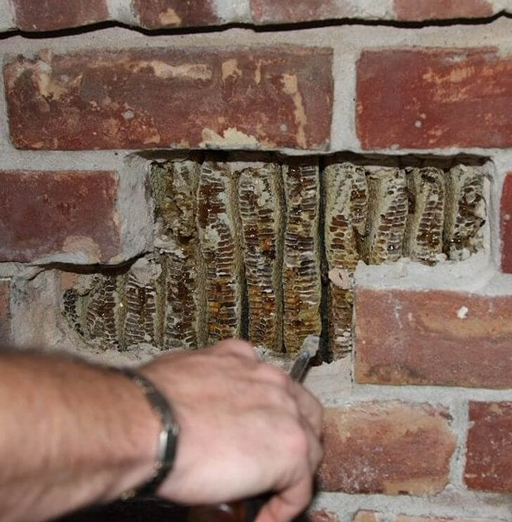 They Did Some Digging After Hearing a "Strange Vibration"