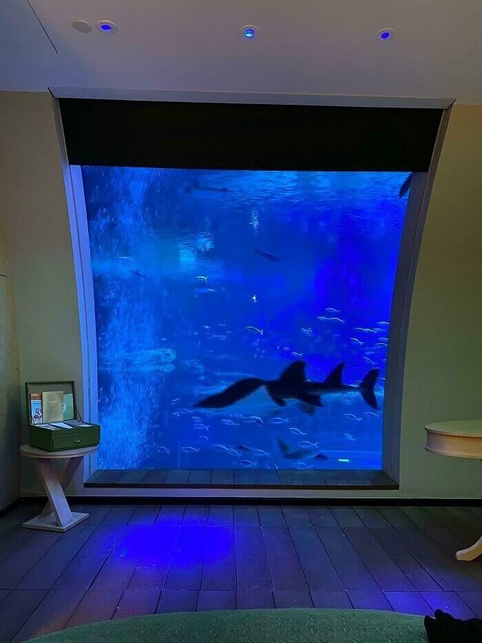 An Unbelievable Hotel Aquarium