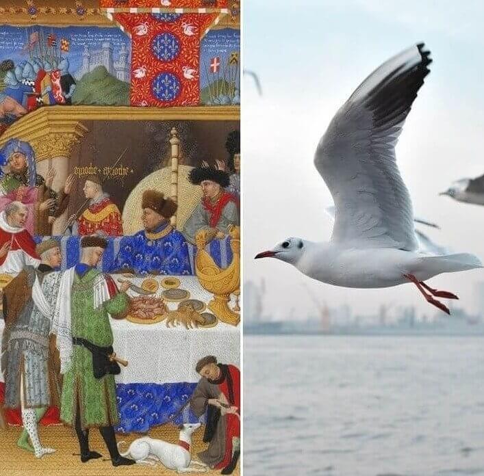 Seabirds Were Common Menu Items