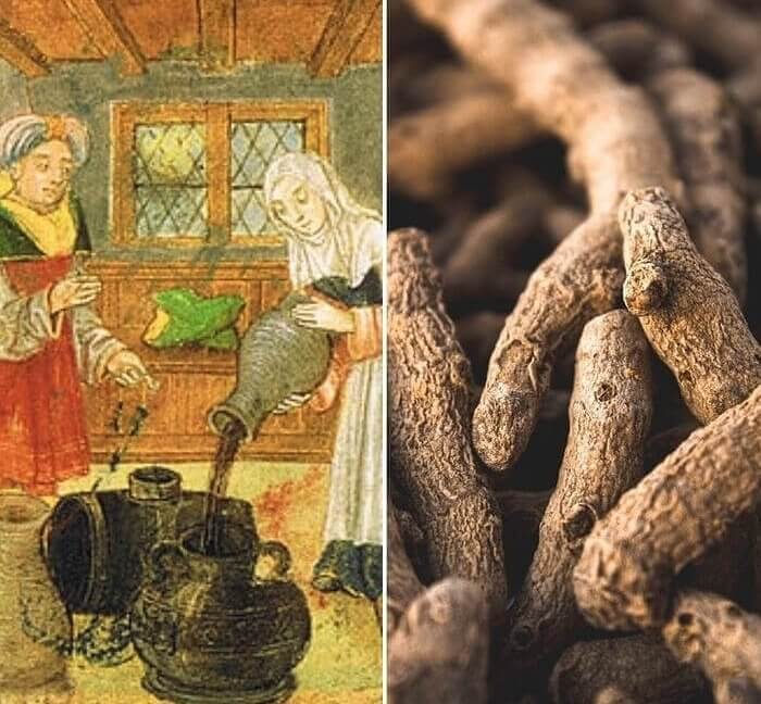 The Four Humors Were "Medical" And Related To Food