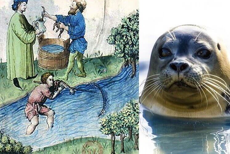 Fish Used To Refer To Anything That Swam