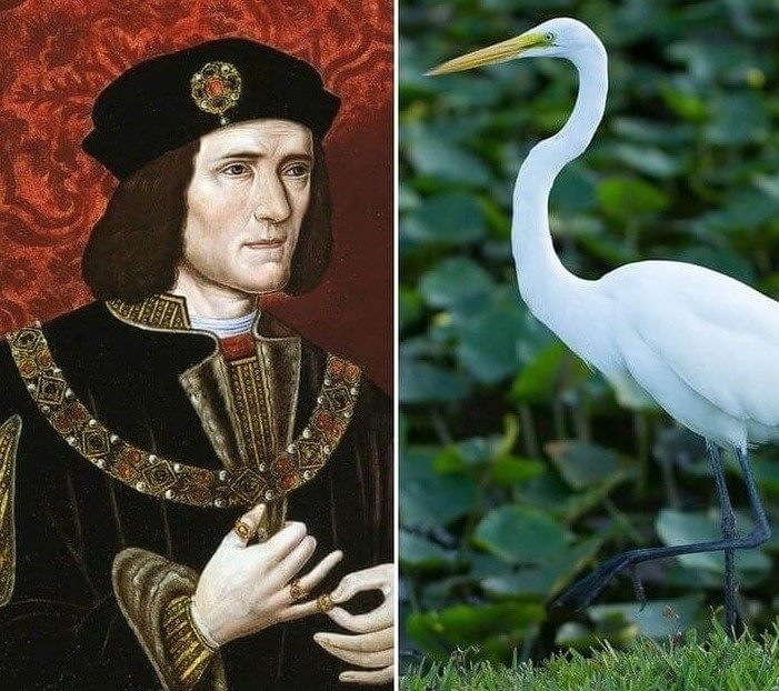 King Richard III Ate Like, Well, A King